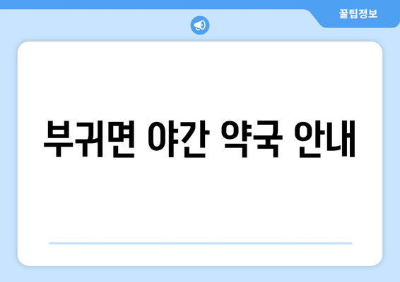 전라북도 진안군 부귀면 24시간 토요일 일요일 휴일 공휴일 야간 약국