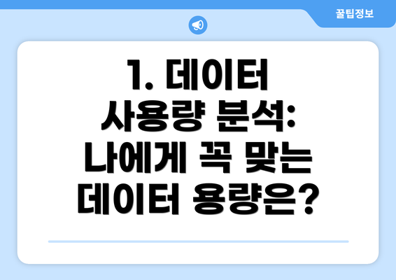 1. 데이터 사용량 분석:  나에게 꼭 맞는 데이터 용량은?