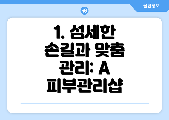 1. 섬세한 손길과 맞춤 관리: A 피부관리샵