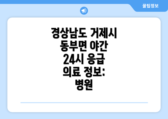 경상남도 거제시 동부면 야간 24시 응급 의료 정보: 병원