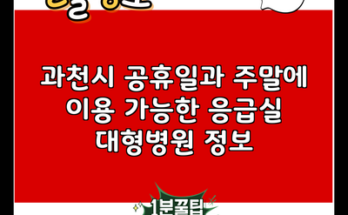 과천시 공휴일과 주말에 이용 가능한 응급실 대형병원 정보