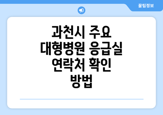 과천시 주요 대형병원 응급실 연락처 확인 방법