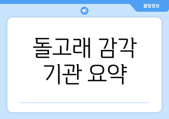 돌고래 감각 기관 요약