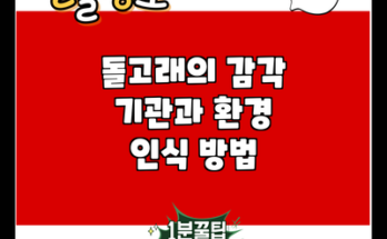 돌고래의 감각 기관과 환경 인식 방법