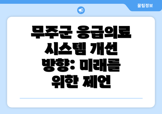 무주군 응급의료 시스템 개선 방향: 미래를 위한 제언