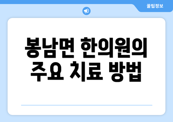 봉남면 한의원의 주요 치료 방법