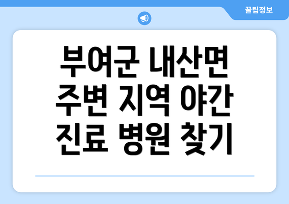 부여군 내산면 주변 지역 야간 진료 병원 찾기