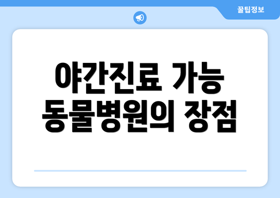 야간진료 가능 동물병원의 장점