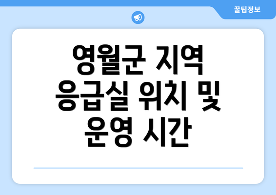 영월군 지역 응급실 위치 및 운영 시간