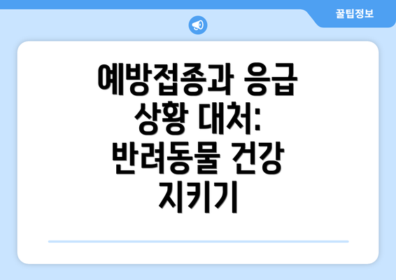 예방접종과 응급 상황 대처: 반려동물 건강 지키기