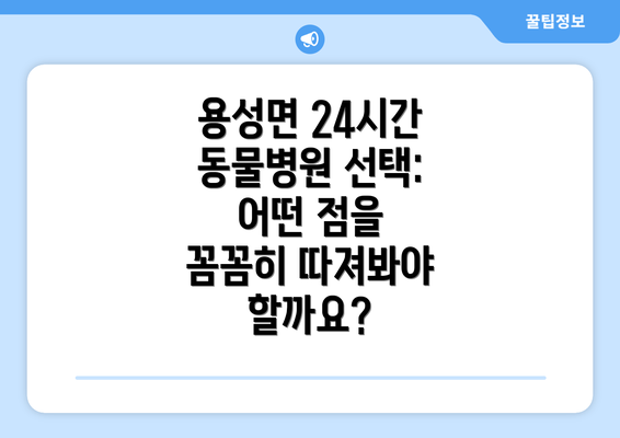 용성면 24시간 동물병원 선택: 어떤 점을 꼼꼼히 따져봐야 할까요?