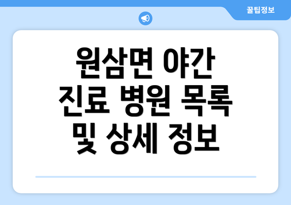 원삼면 야간 진료 병원 목록 및 상세 정보