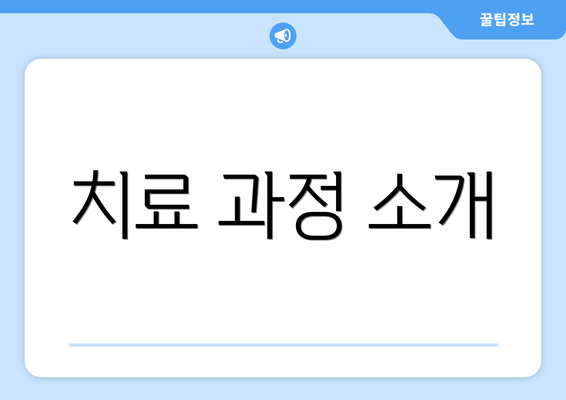 치료 과정 소개