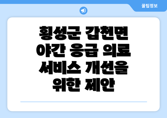 횡성군 갑천면 야간 응급 의료 서비스 개선을 위한 제안