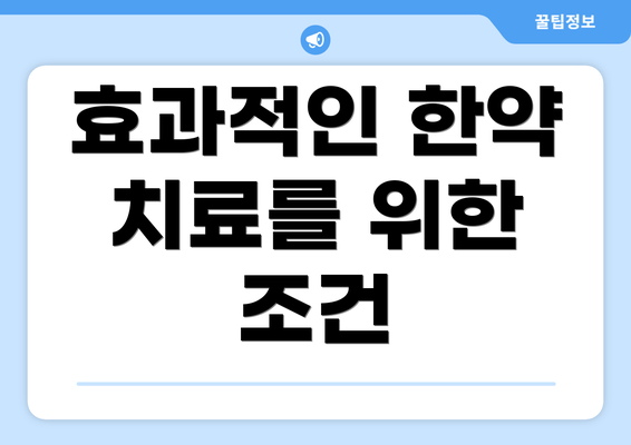 효과적인 한약 치료를 위한 조건