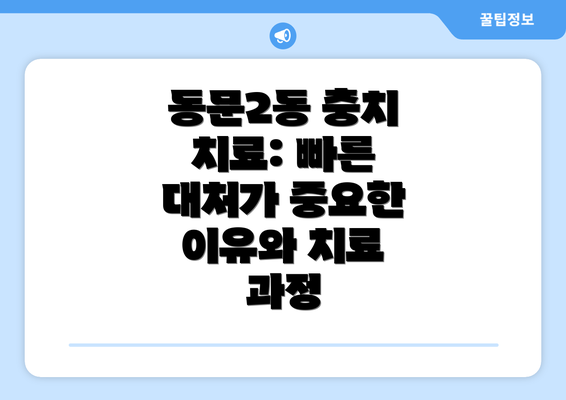 동문2동 충치 치료: 빠른 대처가 중요한 이유와 치료 과정