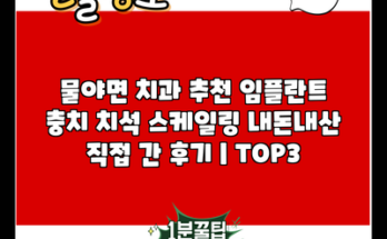 물야면 치과 추천 임플란트 충치 치석 스케일링 내돈내산 직접 간 후기 | TOP3